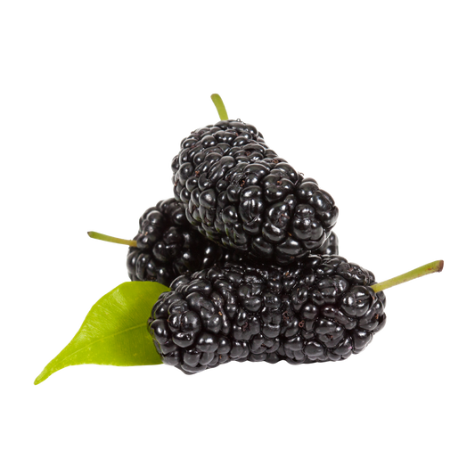 Mulberry